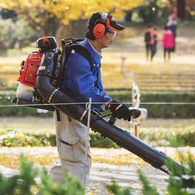 Soplador de Mochila Echo PB 8010